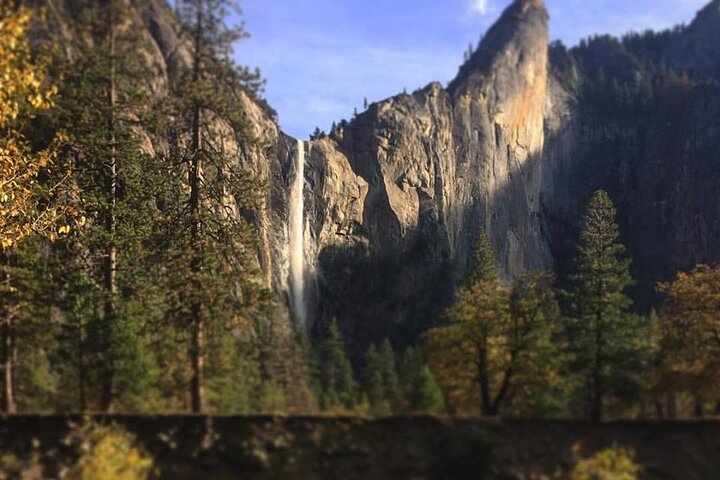 Yosemite Valley & Glacier Point Adaptive Tour