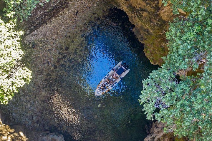 ウィティアンガ島:カテドラル・コーブクルーズ、洞窟&シュノーケリング