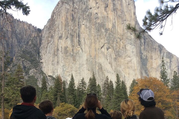 Yosemite Valley & Glacier Point Adaptive Tour