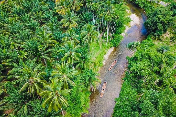 Bambus-Rafting und Sea Turtle Conservation Center Halbtagestour ab Khao Lak