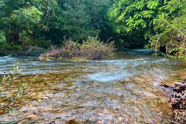 Bambus-Rafting und Sea Turtle Conservation Center Halbtagestour ab Khao Lak