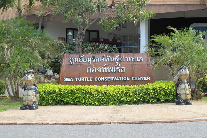 Bambus-Rafting und Sea Turtle Conservation Center Halbtagestour ab Khao Lak