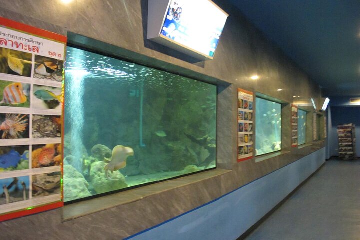 Bambus-Rafting und Sea Turtle Conservation Center Halbtagestour ab Khao Lak