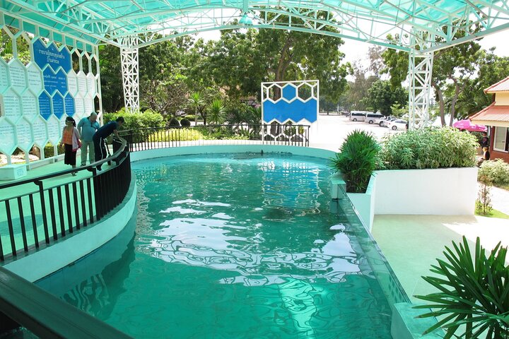 Bambus-Rafting und Sea Turtle Conservation Center Halbtagestour ab Khao Lak