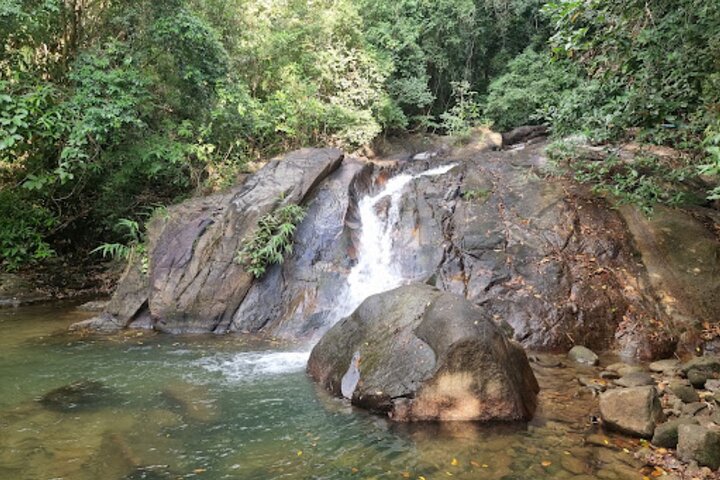 Bambus-Rafting und Sea Turtle Conservation Center Halbtagestour ab Khao Lak