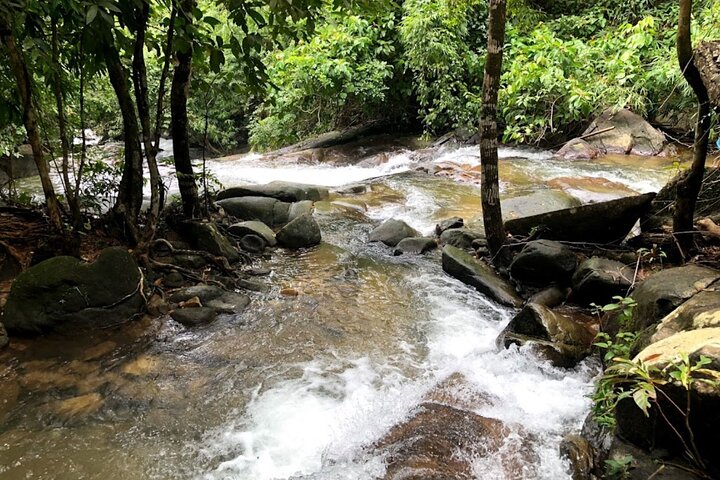 Bambus-Rafting und Sea Turtle Conservation Center Halbtagestour ab Khao Lak