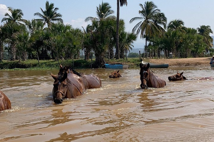 Tour a cavallo al tramonto autentico a Puerto Escondido