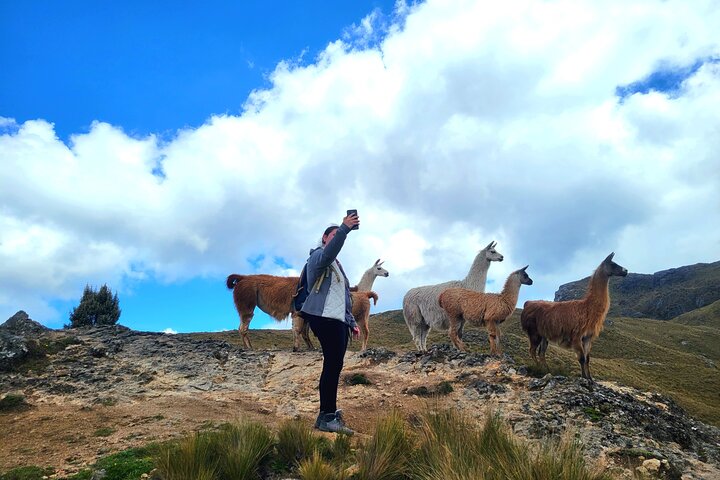 Visite en petit groupe du parc national de Cajas au départ de Cuenca