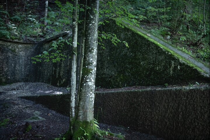 Berchtesgaden-Obersalzberg Private halbtägige historische Tour durch den Zweiten Weltkrieg