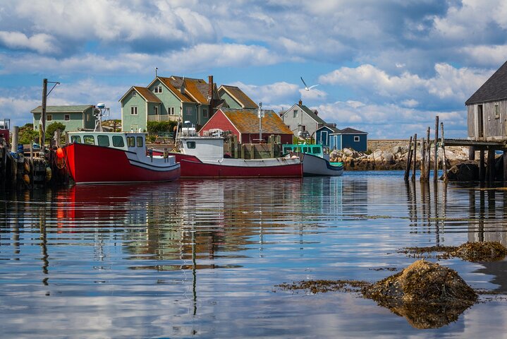 Peggy's Cove Small-Group Express : Naturskön rundtur från Halifax