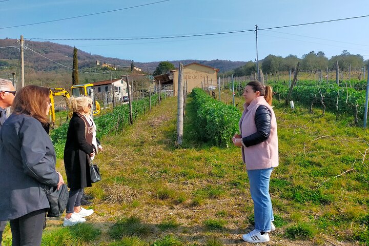 Privé wijntour door de magische heuvels van Lucca met een sommelier.