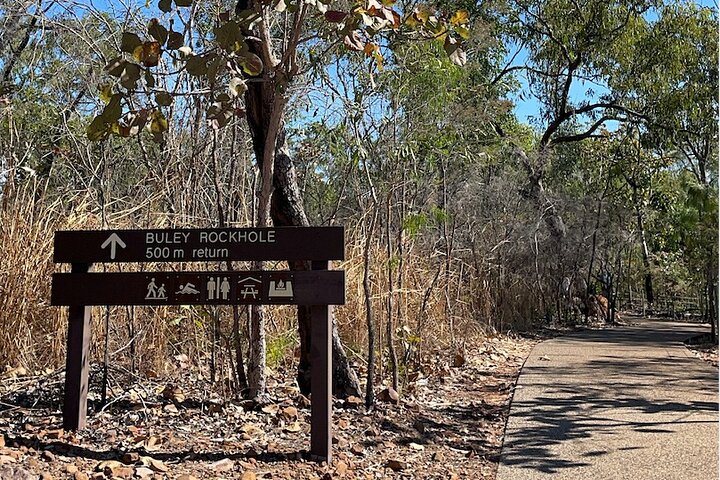 Litchfield & Berry Springs VIP Adventure Day Tours (groupe de 11)