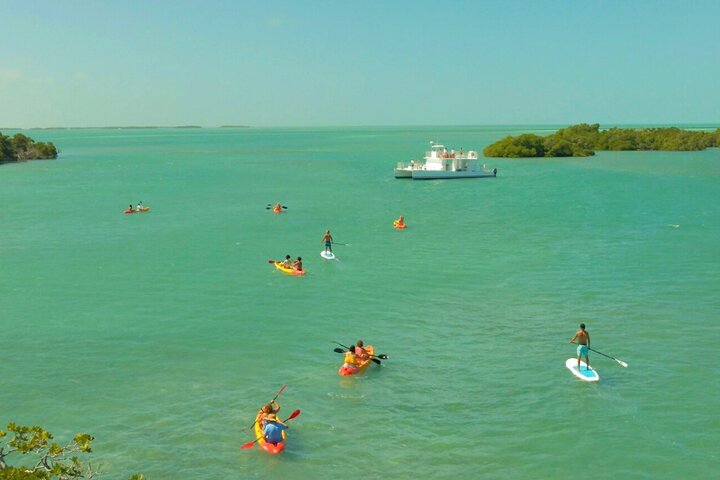 Key West Sandbar Charter met kajaktour: inclusief lunch en drankjes