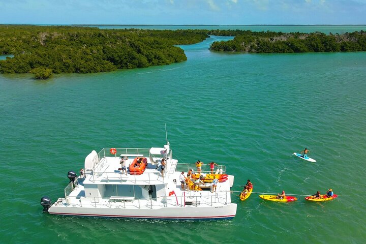 Key West Sandbar Charter met kajaktour: inclusief lunch en drankjes