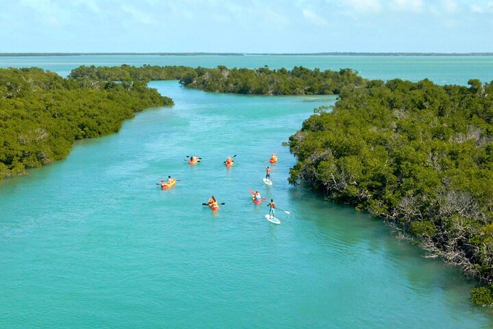 Key West Sandbar Charter met kajaktour: inclusief lunch en drankjes