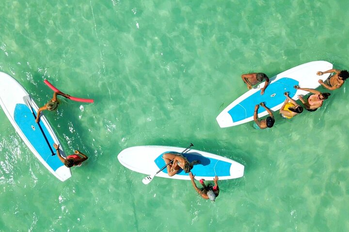 Key West Sandbar Charter met kajaktour: inclusief lunch en drankjes