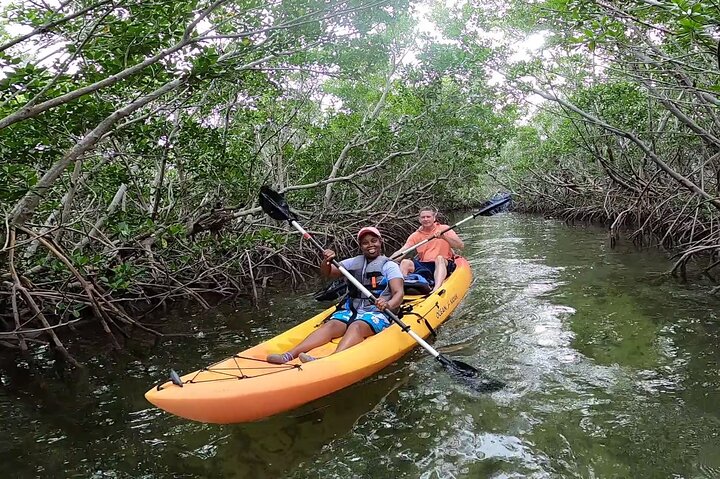 Manglares y manatíes - Tour ecológico en kayak guiado