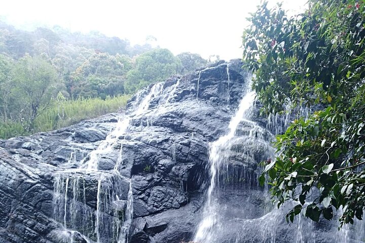 Tour de Horton Plains-World's End y Tea Factory desde Nuwaraeliya