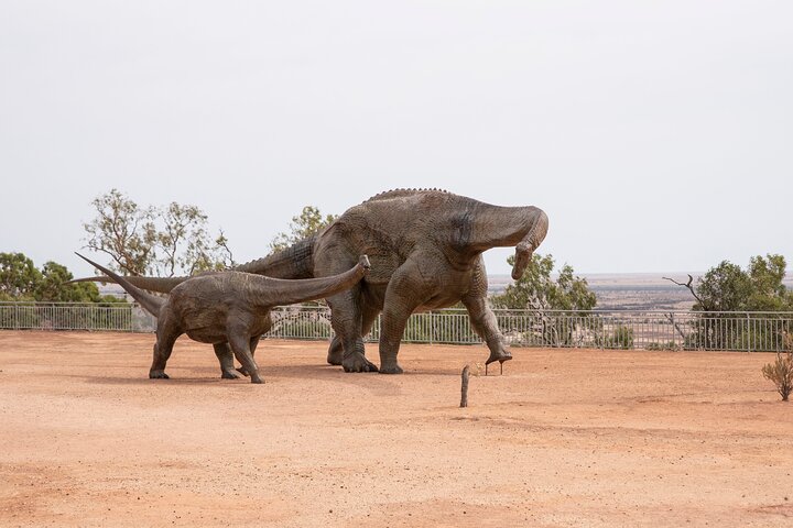 Tour di un giorno intero di Winton Discovery Day da Longreach