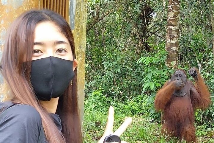 Orangutan Tour Tanjung Puting 2Nights