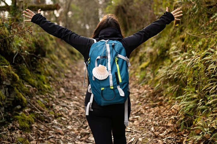 Franske Camino de Santiago fra Sarria til Santiago de Compostela