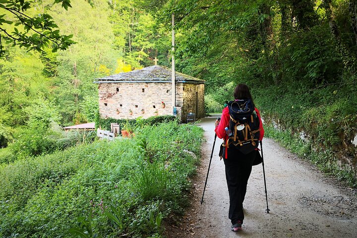 Franske Camino de Santiago fra Sarria til Santiago de Compostela
