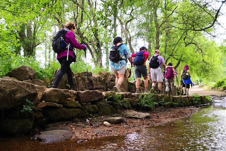 Franske Camino de Santiago fra Sarria til Santiago de Compostela