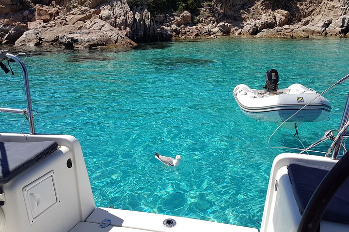 Maddalena Archipelago Seiltur | Fra Santa Teresa