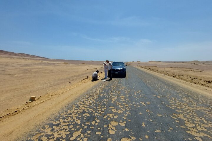 Privétour naar Paracas National Reserve vanuit Paracas of Pisco