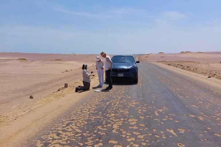 Privétour naar Paracas National Reserve vanuit Paracas of Pisco