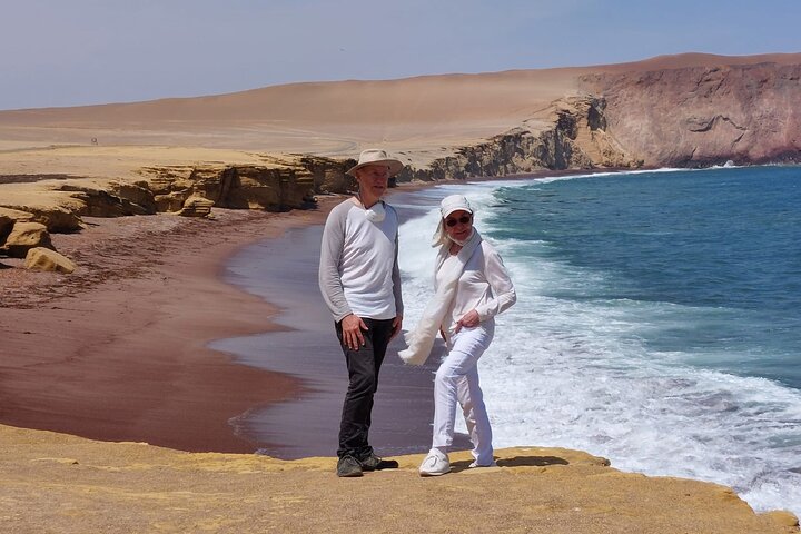 Privétour naar Paracas National Reserve vanuit Paracas of Pisco