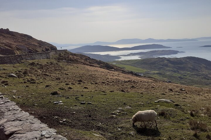 Privérondleiding door Ring of Kerry en Valentia Island