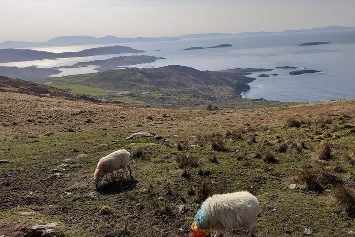 Privérondleiding door Ring of Kerry en Valentia Island