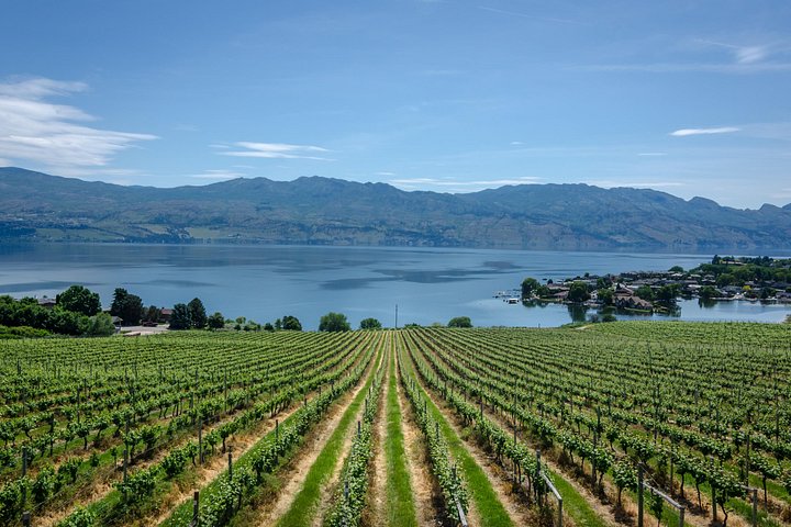 West Kelowna: Ganztägige Weintour mit Mittagessen, inkl. Weinprobe und Guide Grat