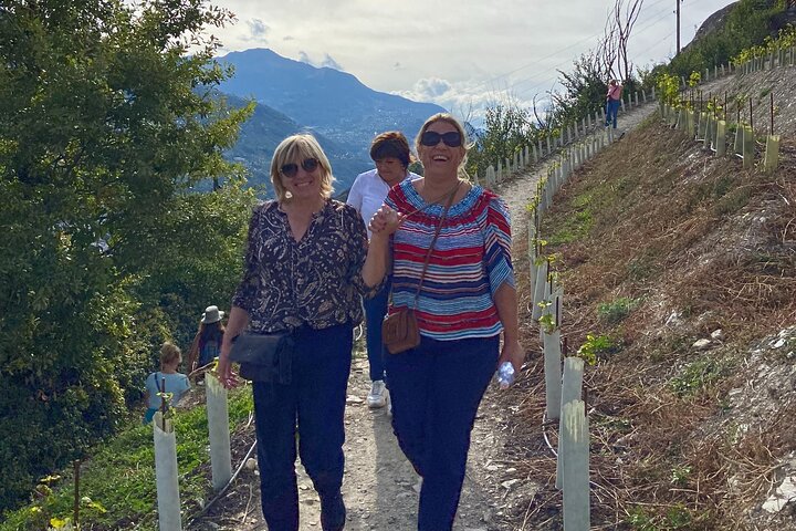 Wein- und Speisespaziergang durch die Weinberge in Sion
