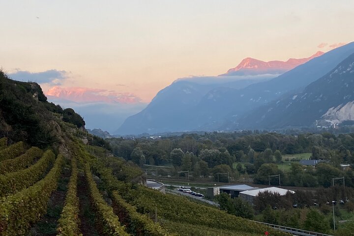 Wein- und Speisespaziergang durch die Weinberge in Sion