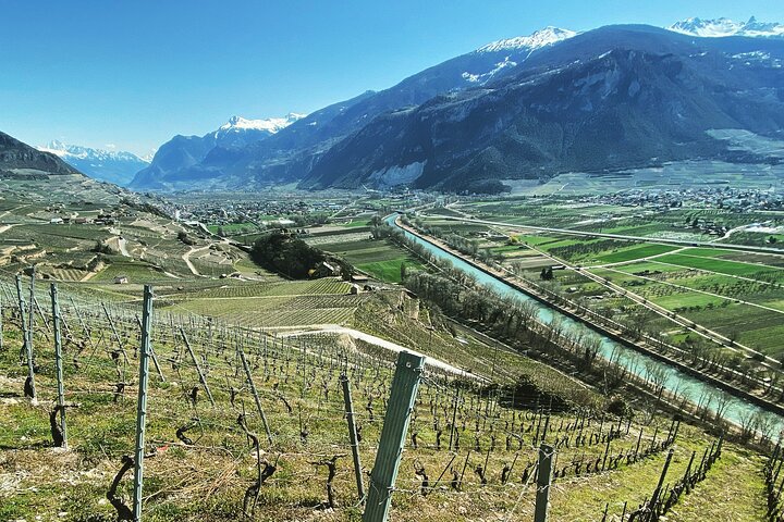 Wein- und Speisespaziergang durch die Weinberge in Sion