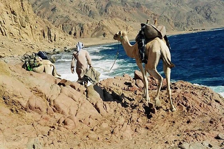 Ras Abu Gallum & Blue Hole Snorkel Safari per jeep en kameel