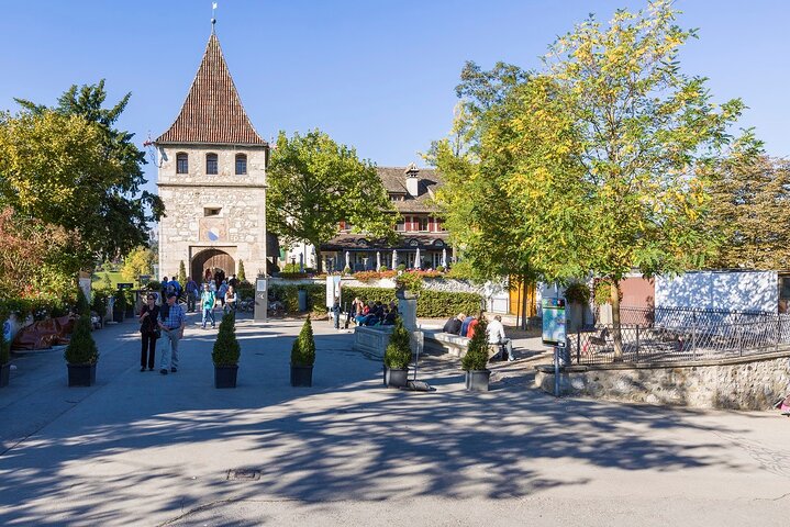 Chutes du Rhin et Stein am Rhein : excursion à la demi-journée au départ de Zurich