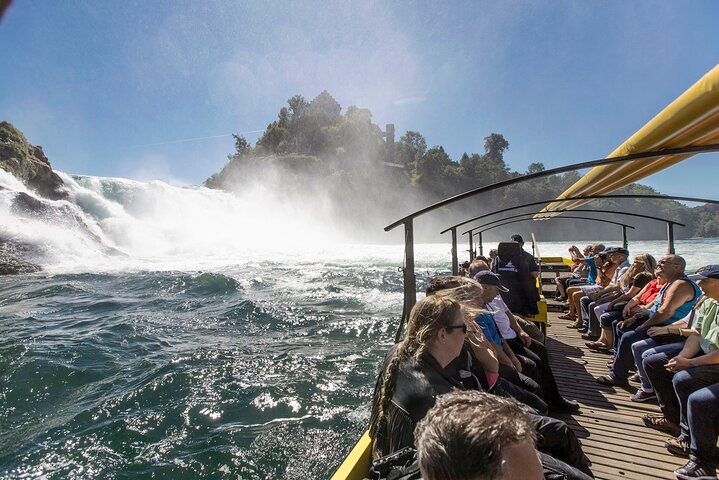 Chutes du Rhin et Stein am Rhein : excursion à la demi-journée au départ de Zurich