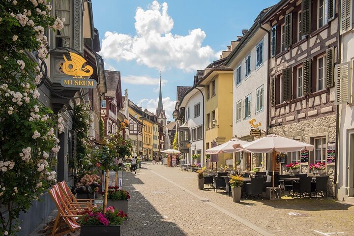 Chutes du Rhin et Stein am Rhein : excursion à la demi-journée au départ de Zurich