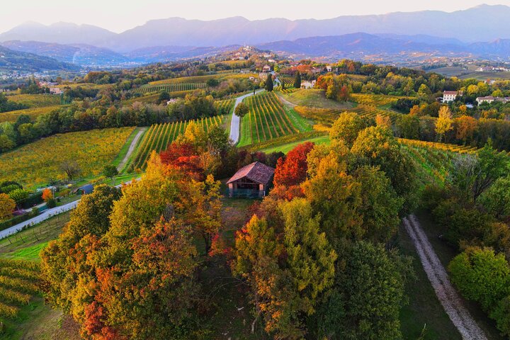 Degustación de Prosecco poco convencional con impresionantes vistas de los viñedos