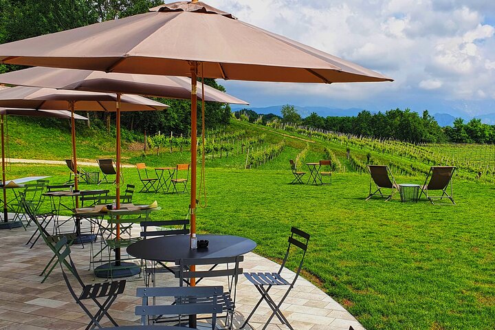 Degustación de Prosecco poco convencional con impresionantes vistas de los viñedos