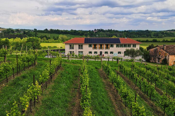 Degustación de Prosecco poco convencional con impresionantes vistas de los viñedos