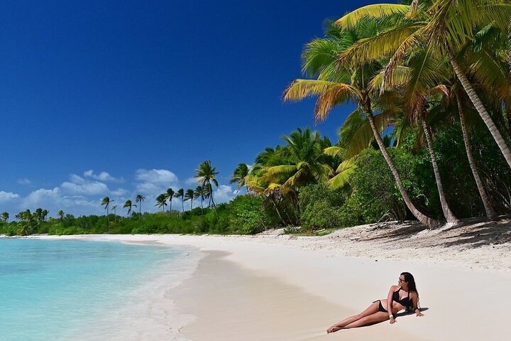 Isla Saona, experiencia memorable todo incluido, desde Santo Domingo.