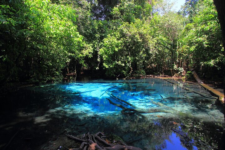 Krabi: Tiger Cave, Emerald Pool og Hot Springs lille gruppe tur