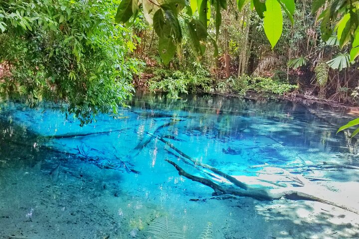 Krabi: Tiger Cave, Emerald Pool og Hot Springs lille gruppe tur