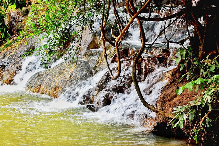 Krabi: Tiger Cave, Emerald Pool og Hot Springs lille gruppe tur