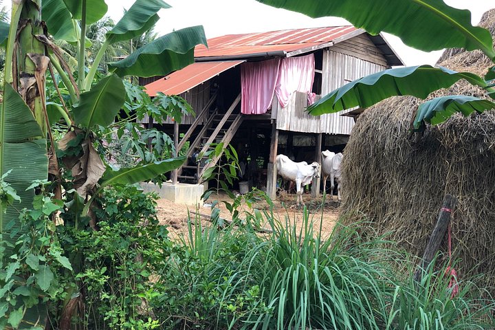 Battambang Visite privée de l'après-midi en train de bambou, grotte et village de chauves-souris