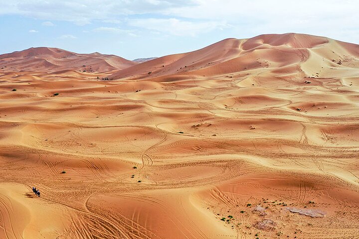 1 noche todo incluido paseo en camello y campamento en el desierto